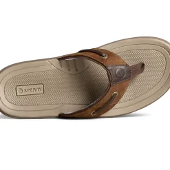 Sandals|Shoes^Sperry Men's Baitfish Leather Flip Flop Brown / Buc / Brown