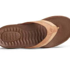 Shoes^Sperry Men's PLUSHWAVE™ Thong Sandal Tan