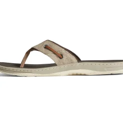 SeaCycled|Sandals^Sperry Men's SeaCycled™ Baitfish Baja Flip Flop Taupe