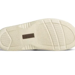 SeaCycled|Sandals^Sperry Men's SeaCycled™ Baitfish Baja Flip Flop Taupe