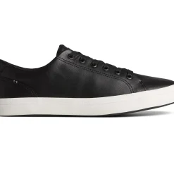 Striper II Sneakers|Sneakers^Sperry Striper II LLT Leather Sneaker Black